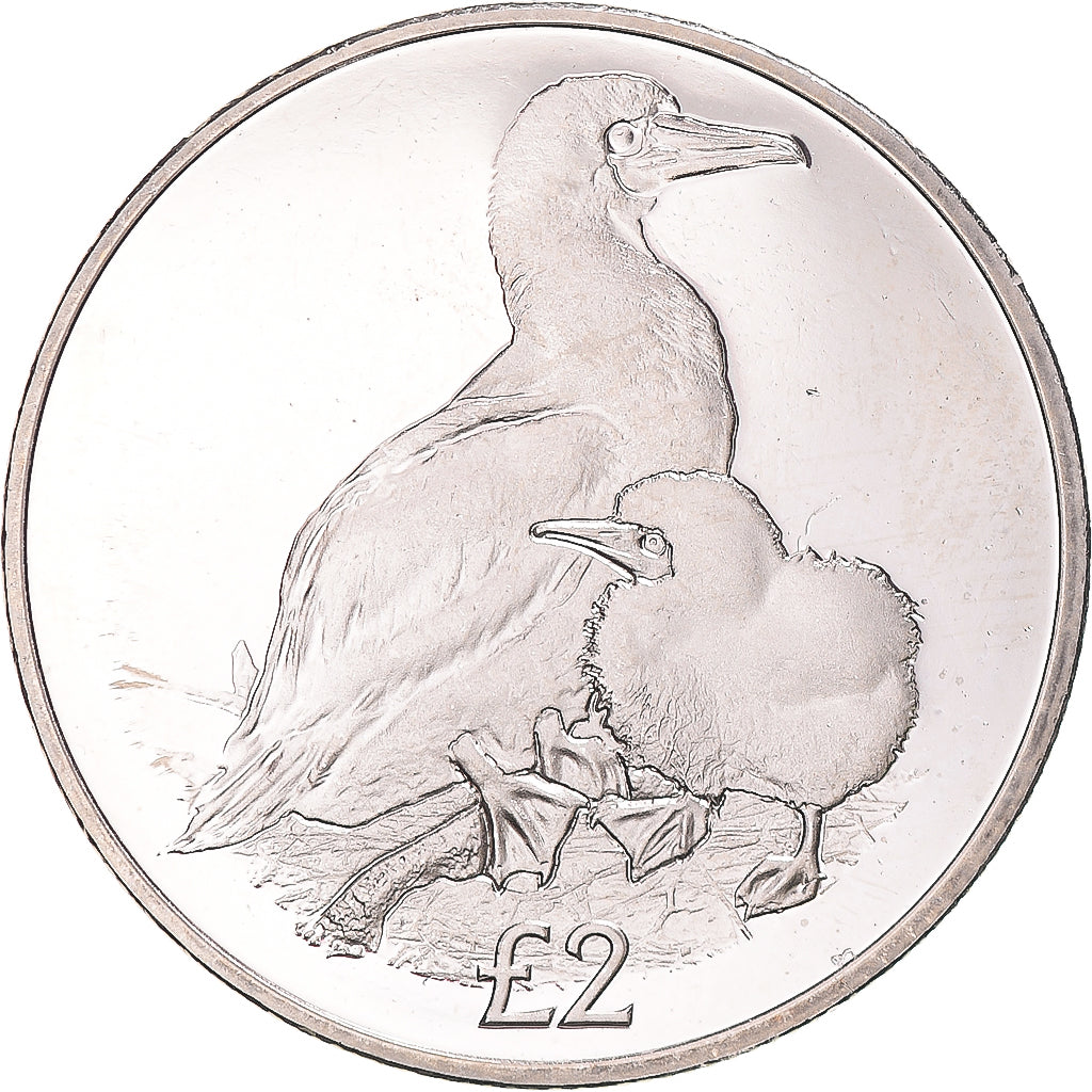 Monnaie, Territoire britannique de l'océan Indien, 2 Pounds, 2019, Oiseaux -