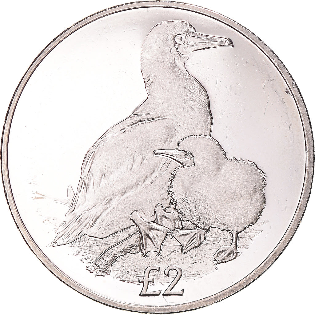 Münze, British Indian Ocean, 2 Pounds, 2019, Oiseaux - Fou à pieds rouges