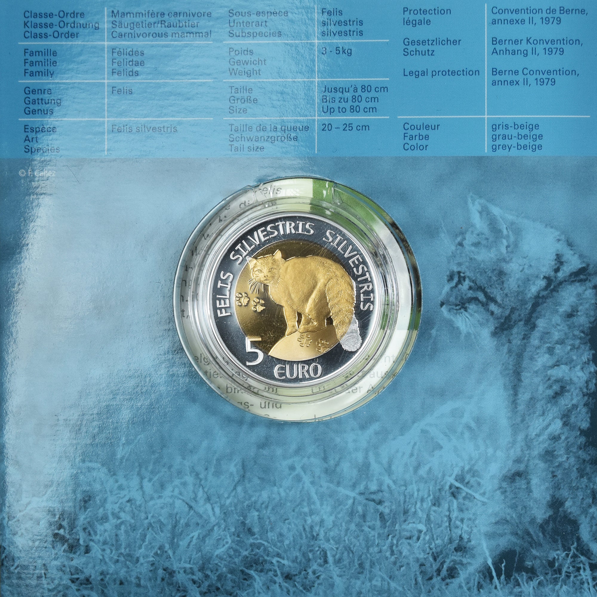 Luxembourg, 5 Euro, Chat sauvage, 2015, Utrecht, CHAT SAUVAGE.BE, MS(65-70)