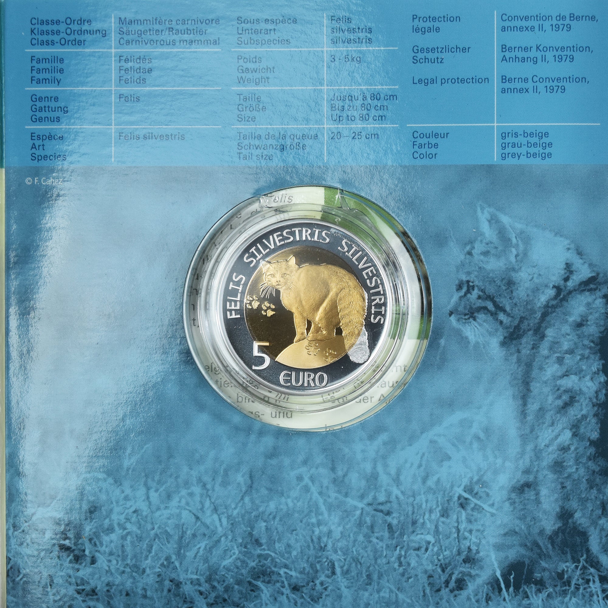 Luxemburgo, 5 Euro, Chat sauvage, 2015, Utrecht, CHAT SAUVAGE.BE, MS(65-70)