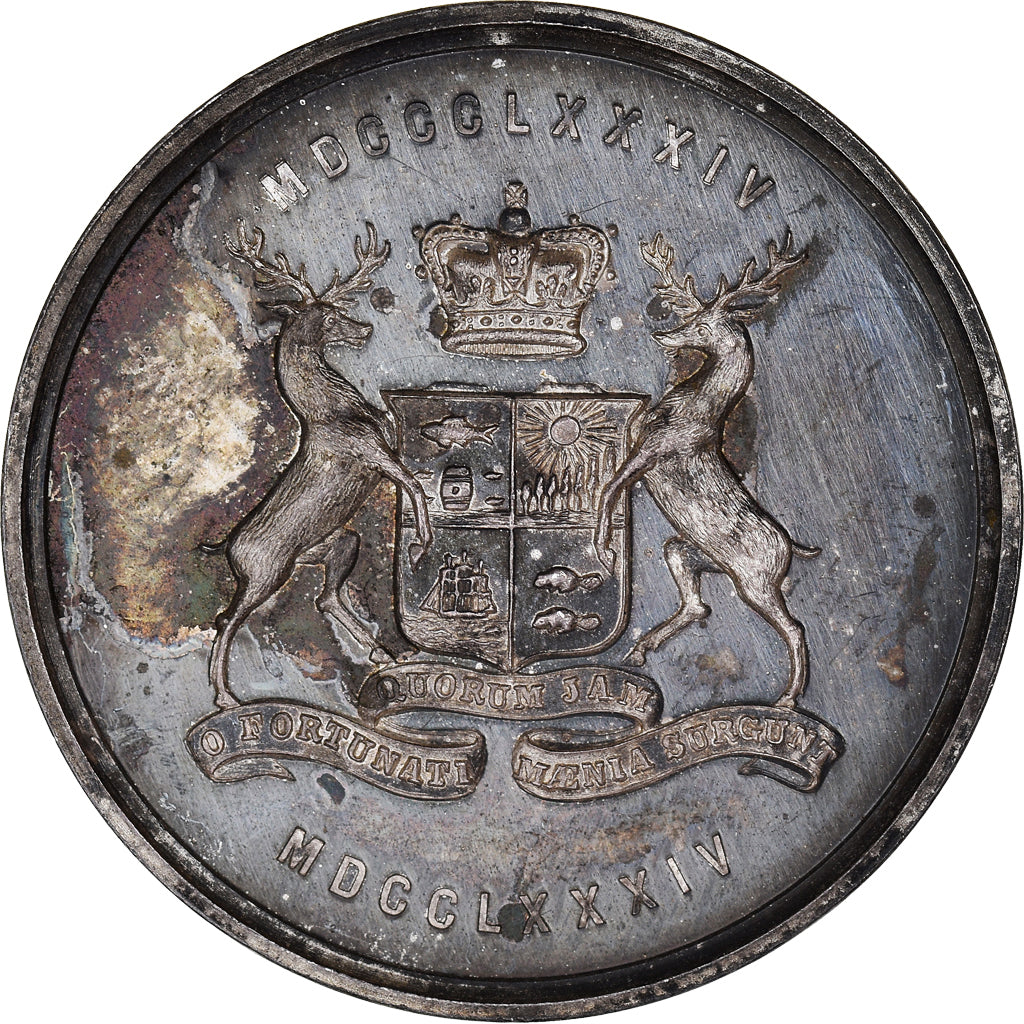 Canada, medaglia, Masonic, New Brunswick, Centennial of Freemasonry, 1884, SPL-