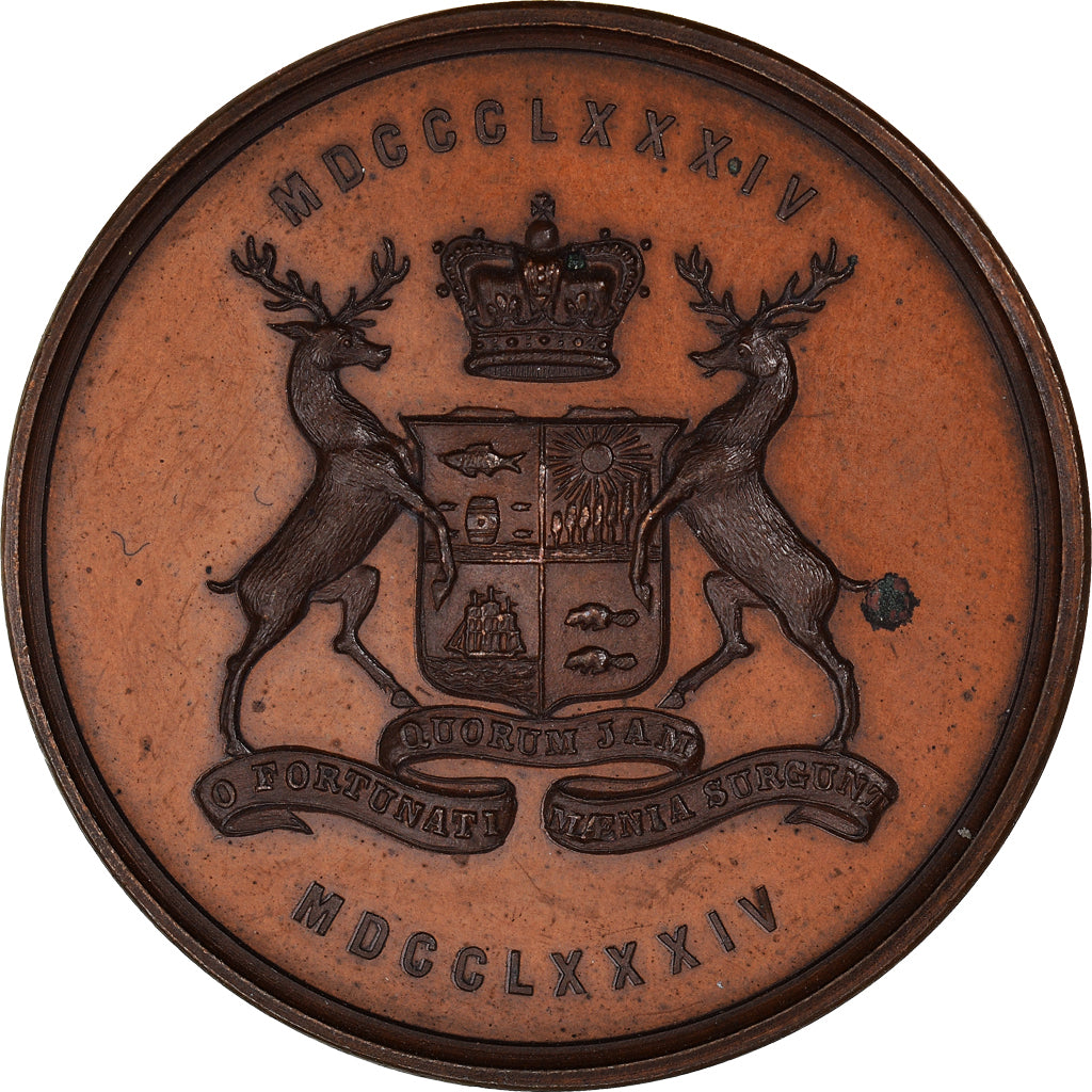 Canada, Medal, Masonic, New Brunswick, Centennial of Freemasonry, 1884, MS(63)