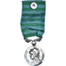 Frankrijk, Médaille Coloniale, WAR, Medaille, Excellent Quality, Zilver, 27