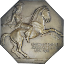 Áustria, medalha, Internationale Jagdaustellung, Wien, 1910, Müllner, MS(63)