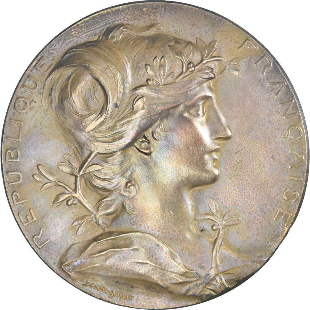 France, Medal, Exposition universelle de Paris, 1889, Dupuis.D, AU(50-53)
