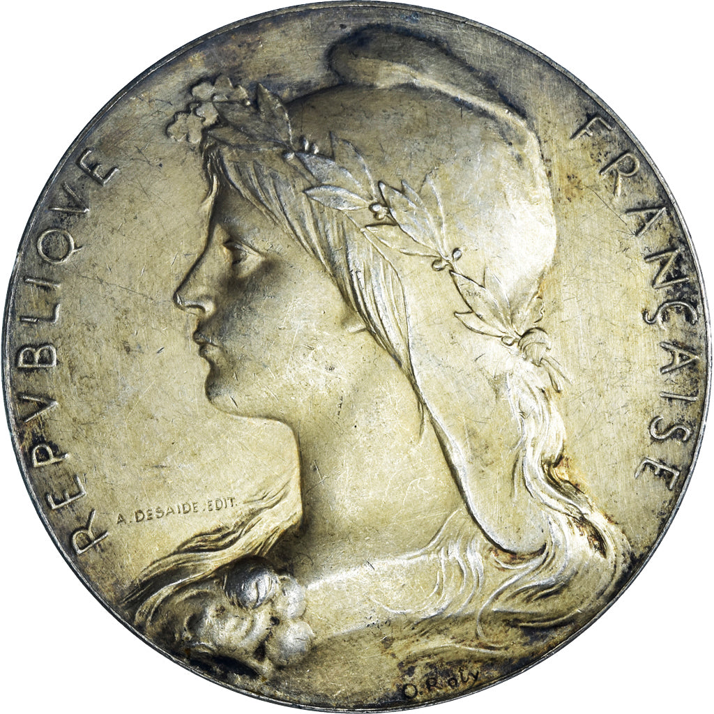 Francja, medal, Concours, Pompes à Incendie, Ville de Charenton, 1894, Roty