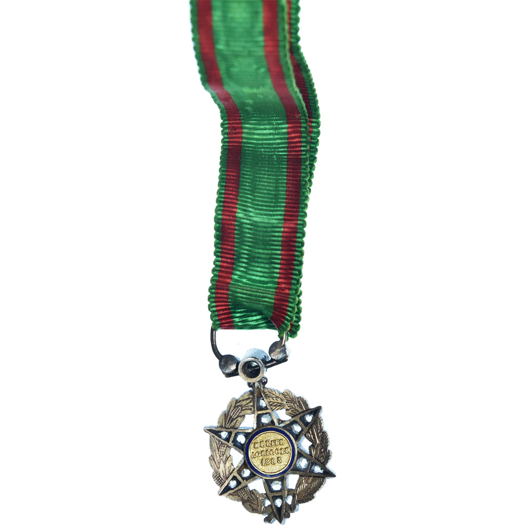 Francia, Mérite Agricole, Luxe, Sertie de Diamants, medaglia, 1883, Miniature