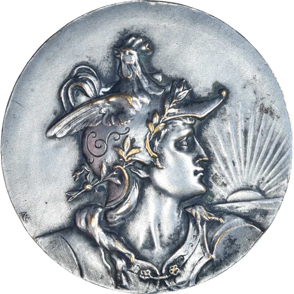 France, Médaille, Marianne Casquée, Maurice Deligne, Député, Politics, TTB