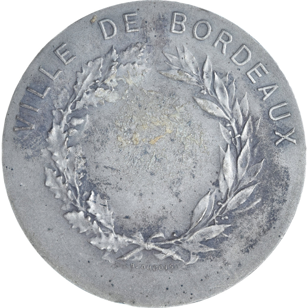 Francia, medalla, Ville de Bordeaux, Geography, Dupuis.D, MBC+, Plata