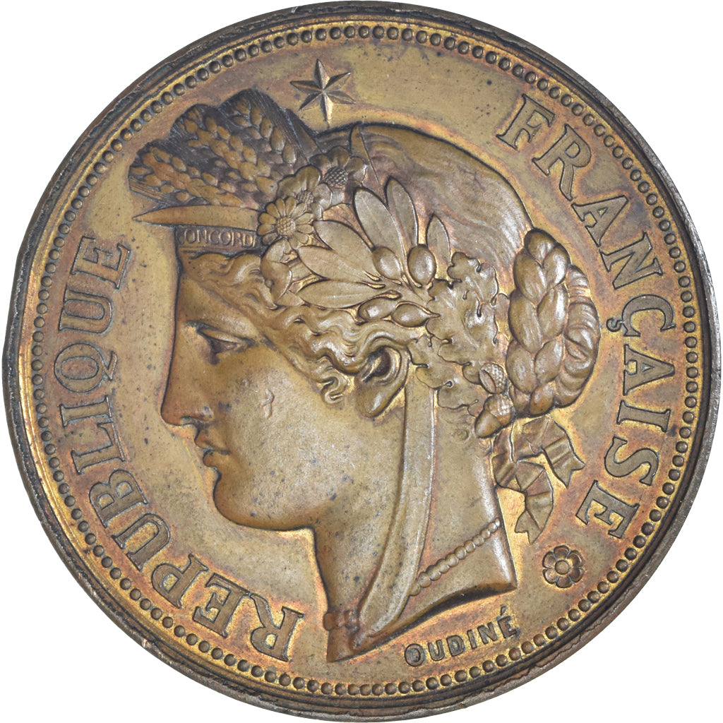 Francja, medal, Ecole Municipale de Musique de Troyes, Oudiné, MS(60-62)