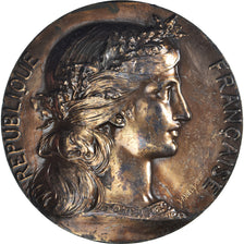 France, Medal, Direction des Eaux et Forêts, Pisciculture, Agriculture