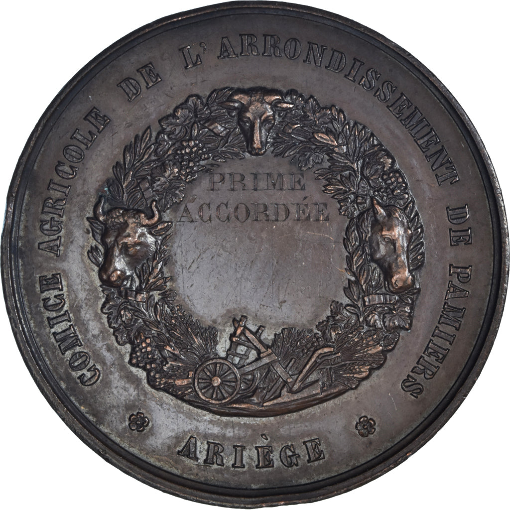 Frankreich, Medaille, Olivier de Serres, Comice Agricole de Pamiers, Ariège, De