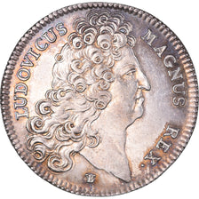 Francia, ficha, Louis XIV, Anjou, Noblesse, Ville d'Angers, History, SPL