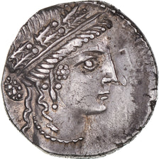 Moeda, Julius Caesar, Denarius, 48 AC, Greece, Pedigree, MS(64), Prata