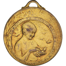 Francja, medal, Journée Nationale des Familles Nombreuses, Society, 1920