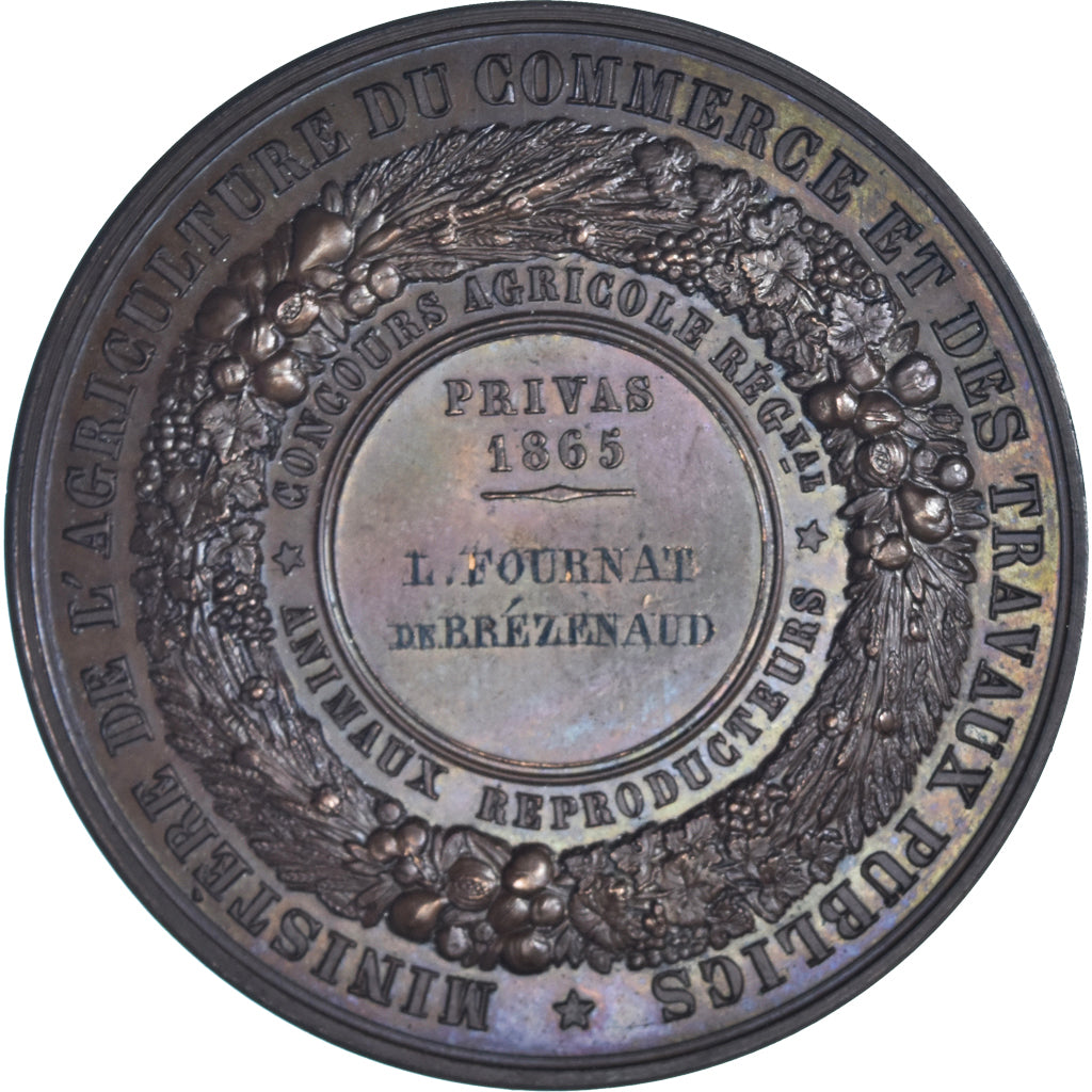 France, Medal, Napoléon III, Concours Agricole, Privas, 1865, Barre, MS(64)