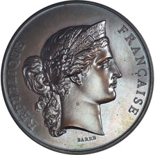 França, medalha, Concours Agricole, Annonay, Agriculture, 1873, Barre