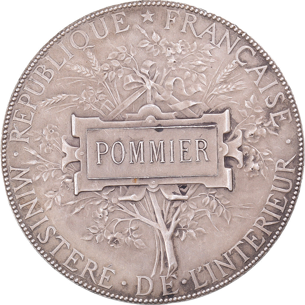 France, Médaille, Protection du Premier Age, Ministère de l'Intérieur