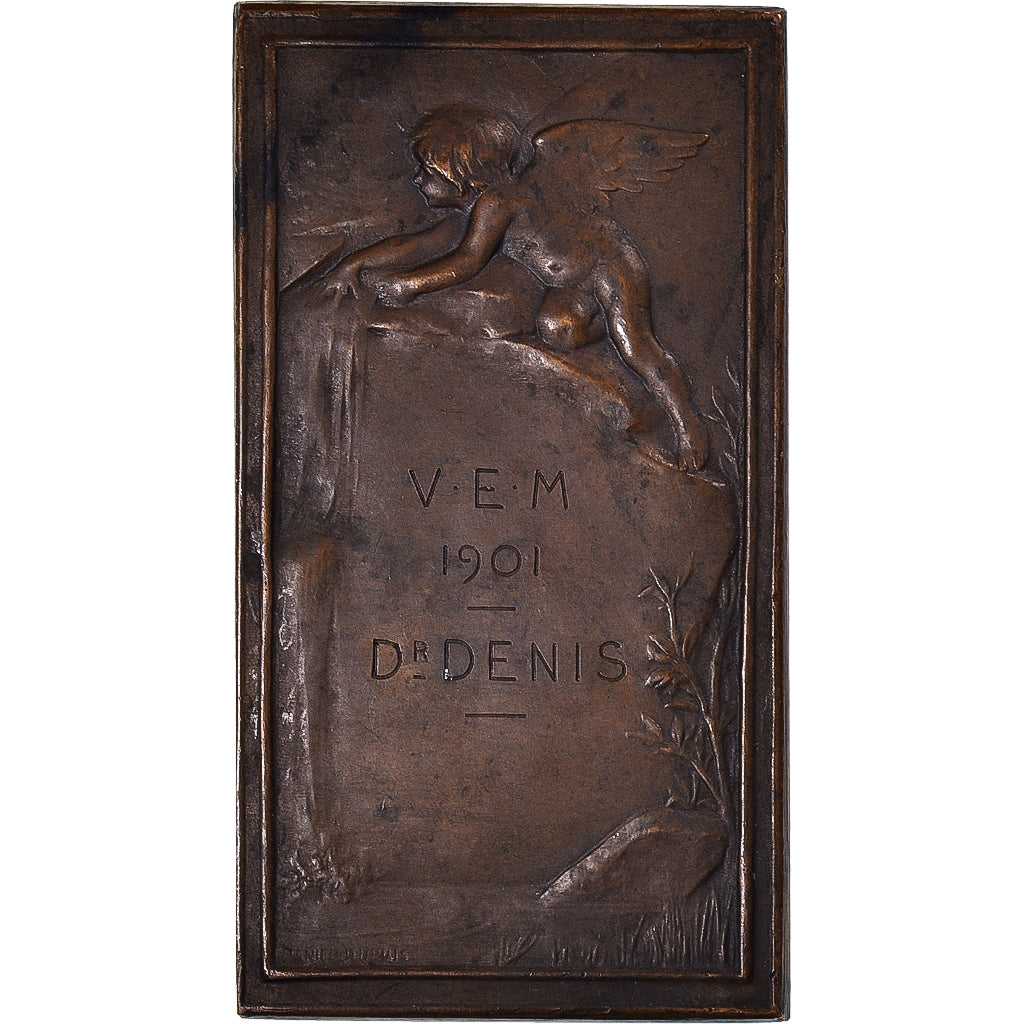 Frankrijk, Medaille, La Source, Arts & Culture, 1901, Dupuis.D, ZF+, Bronzen