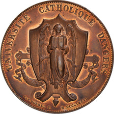 Francia, medaglia, Université Catholique d'Angers, Instruction, 1881, Borrel