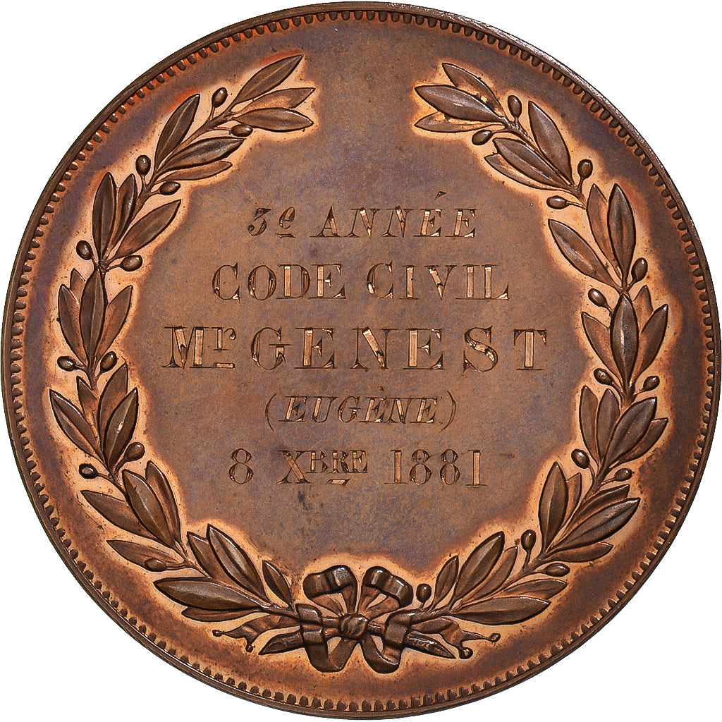 Francia, medaglia, Université Catholique d'Angers, Instruction, 1881, Borrel