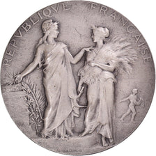 Francia, medaglia, Concours National Agricole de Nantes, Agriculture, 1909