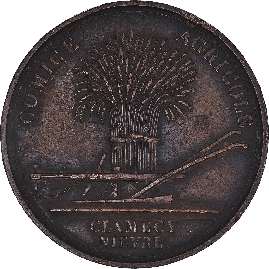 Frankreich, Medaille, Comice Agricole de Clamecy, Nièvre, Agriculture, SS