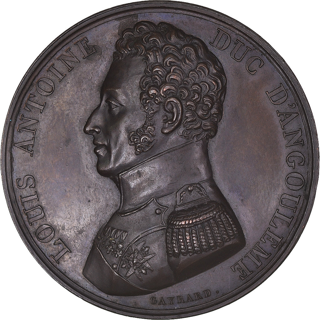 France, Médaille, Louis-Antoine d'Artois, duc d'Angoulême, déclaration de