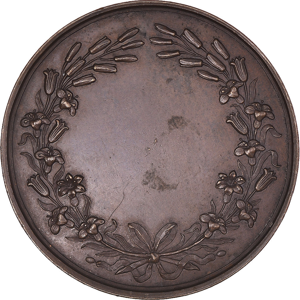 Francja, medal, Henri De France, Historia, 1842, Gayrard, AU(55-58), Miedź