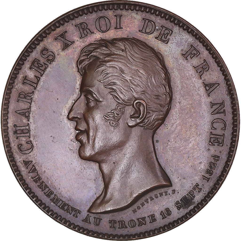 Francia, medalla, Charles X, Sacre à Reims, History, 1825, De Puymaurin