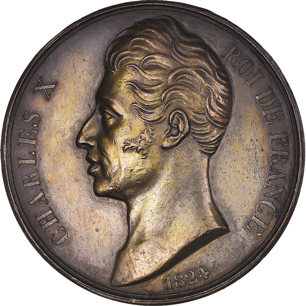 França, medalha, Avènement de Charles X, História, 1824, AU(55-58), Cobre