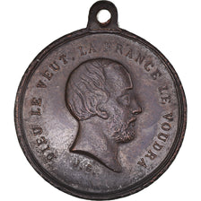 France, Medal, Henri V, Comte de Chambord, Le Roi Bien-Aimé, History