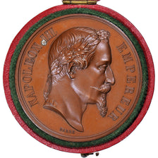 Francja, medal, Napoléon III, Concours Agricole, Grenoble, 1864, Barre, MS(63)
