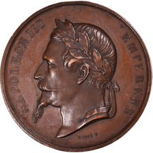 Frankrijk, Medaille, Napoléon III, Comice Agricole de Montauban, 1867, Caqué