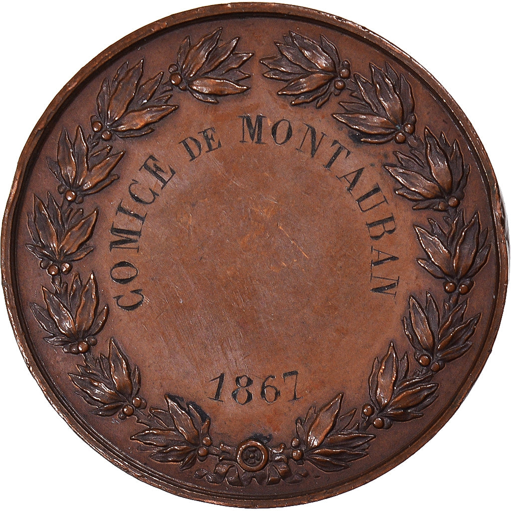 Frankrijk, Medaille, Napoléon III, Comice Agricole de Montauban, 1867, Caqué
