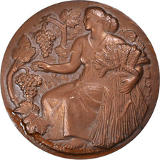 Francia, medalla, Ministère de l'Agriculture, Associations Agricoles, Petit