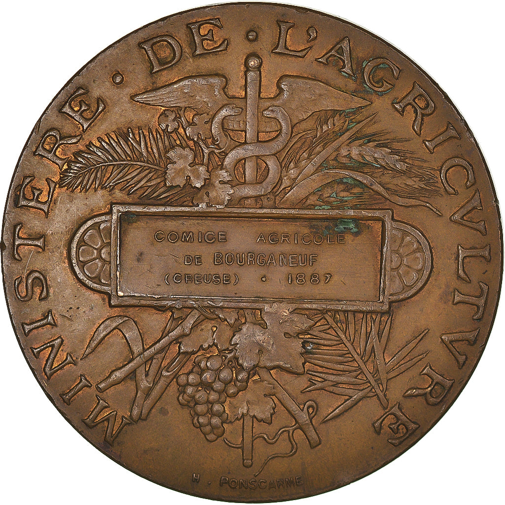 France, Medal, Comice Agricole de Bourganeuf, Creuse, Agriculture, 1887