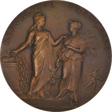 Frankrijk, Medaille, Ministère de l'Agriculture, Associations Agricoles