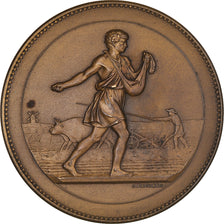 Francja, medal, Concours Agricole, Henri Connevot, Député, Agriculture
