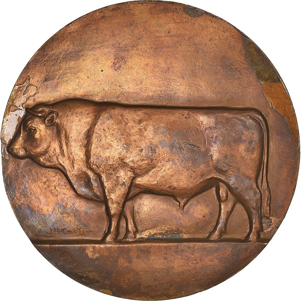 France, Medal, Louis Longequeue, Député-Maire de Limoges, Agriculture