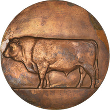 France, Medal, Louis Longequeue, Député-Maire de Limoges, Agriculture