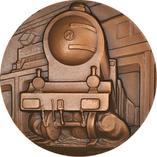 France, Medal, Amicale des Cannes du Dépôt de Limoges, Railway, 1985
