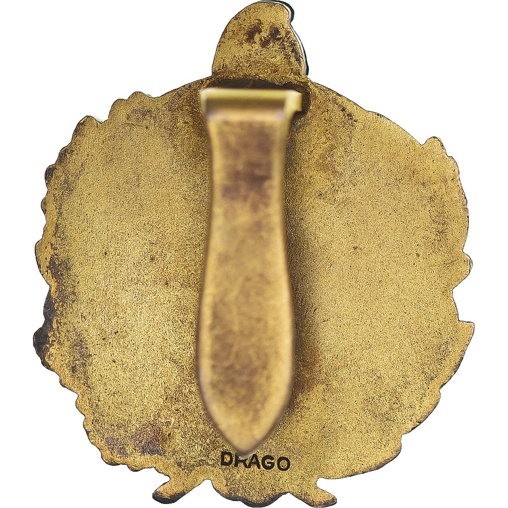 France, Insigne, Conseiller Général, Politics, Emaillée, SPL, Laiton