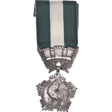 France, Médaille d'honneur communale, régionale et départementale, Politics