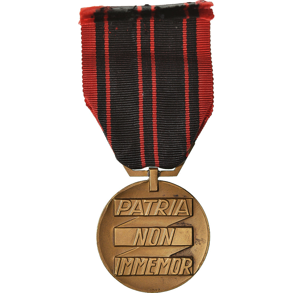 France, Résistance, Patria Non Immemor, WAR, Medal, 1940, Excellent Quality