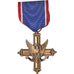 United States of America, Distinguished Service Cross, Aviation, Medal