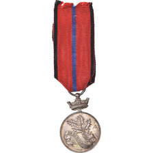 France, Société des Volontaires de 1870-1871, 85ème R.A.L, WAR, Medal