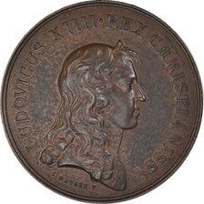 França, medalha, Louis XIV, Prise de Condé et de Maubeuge, História, 1976