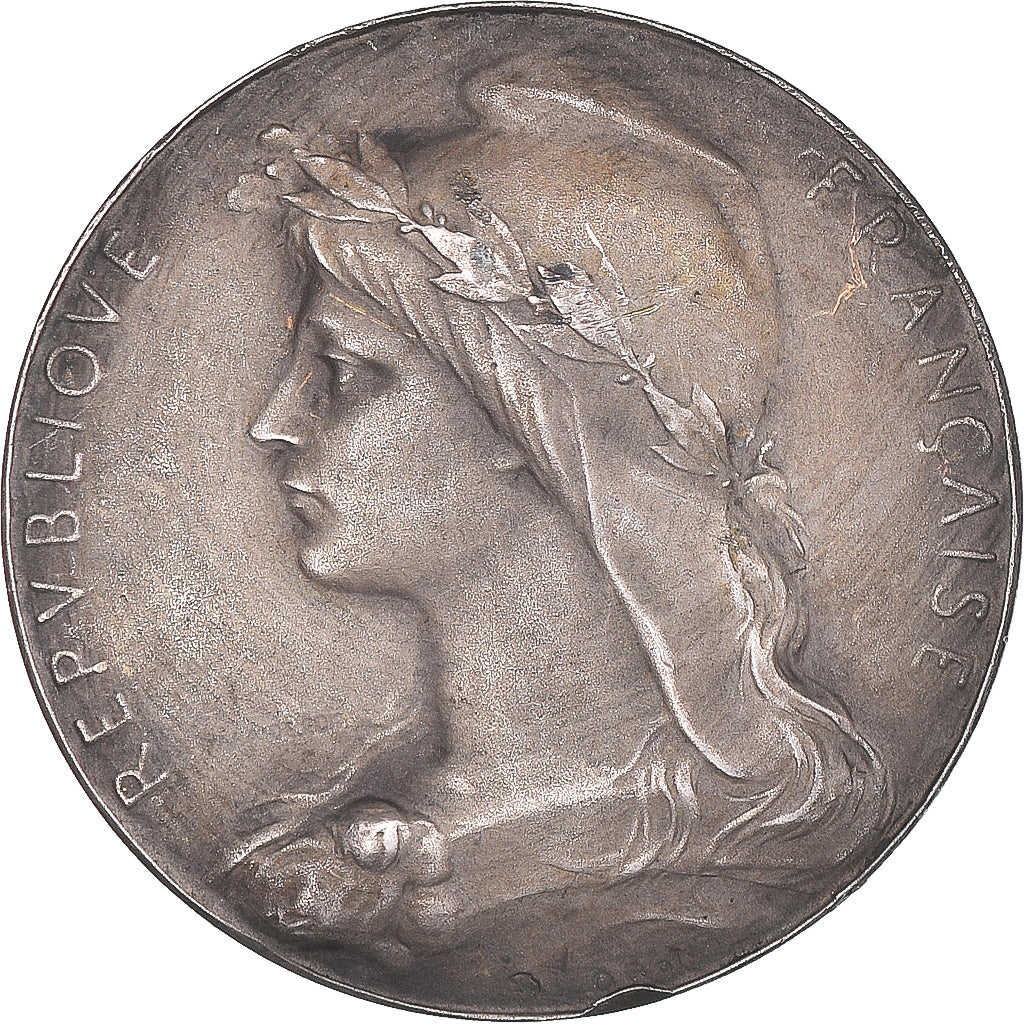 France, Medal, Conseil d'Hygiène de l'Aisne, O.Roty, AU(55-58), Silver