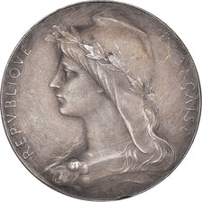 France, Medal, Conseil d'Hygiène de l'Aisne, O.Roty, AU(55-58), Silver